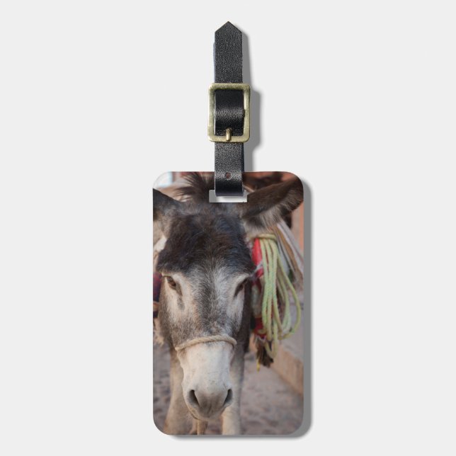 Mexiko, San Miguel De Allende 2 Bagagebricka (Vertikal Framsida)