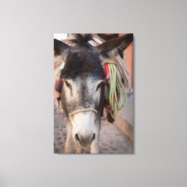 Mexiko, San Miguel De Allende 2 Canvastryck (Framsida)