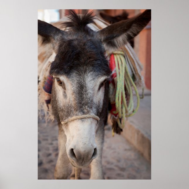 Mexiko, San Miguel De Allende Poster (Framsidan)