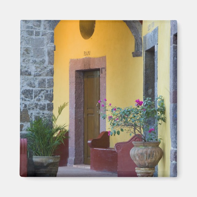 Mexiko, San Miguel de Allende, valvformad ingång Magnet (Framsidan)