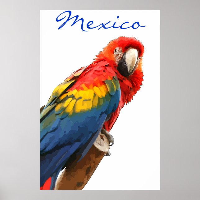Mexiko Scarlet Macaw Poster (Framsidan)