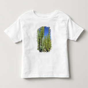 Mexiko, Sonora, San Carlos. Saguaro & Organ Pipe T Shirt