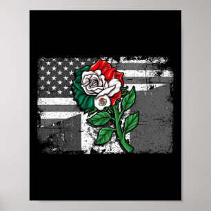 Mexiko USA:s Flagga mexikanska Flagga amerikanska Poster