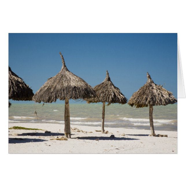 Mexiko, Yucatan-halvön, Progreso. Halmtak Hälsningskort (Framsidan Horizontal)