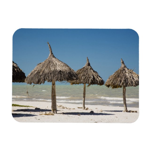 Mexiko, Yucatan-halvön, Progreso. Halmtak Magnet (Horisontell)