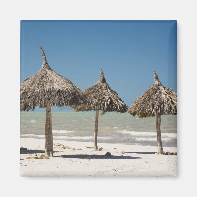 Mexiko, Yucatan-halvön, Progreso. Halmtak Magnet (Framsidan)