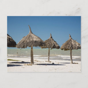 Mexiko, Yucatan-halvön, Progreso. Halmtak Vykort