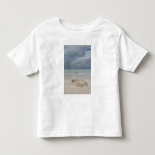 Mexiko, Yucatan, Isla Mujeres ön Tee Shirt
