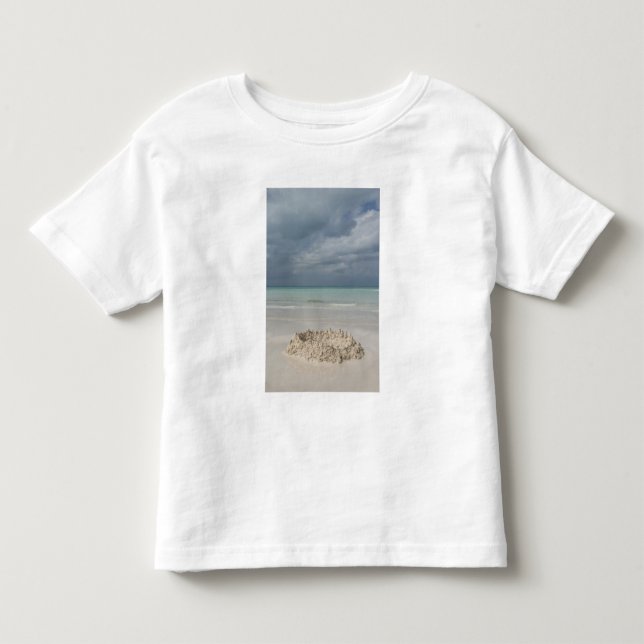 Mexiko, Yucatan, Isla Mujeres ön Tee Shirt (Framsida)