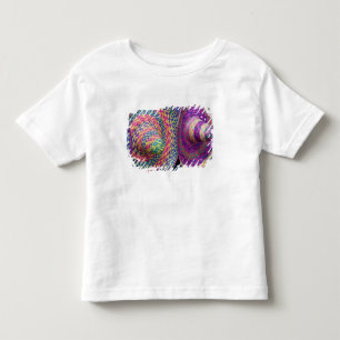 Mexiko, Yucatan, Merida, traditionellt vävt T Shirt