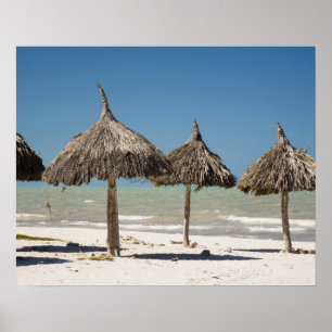 Mexiko, Yucatan Peninsula, Progreso. Thatch Poster