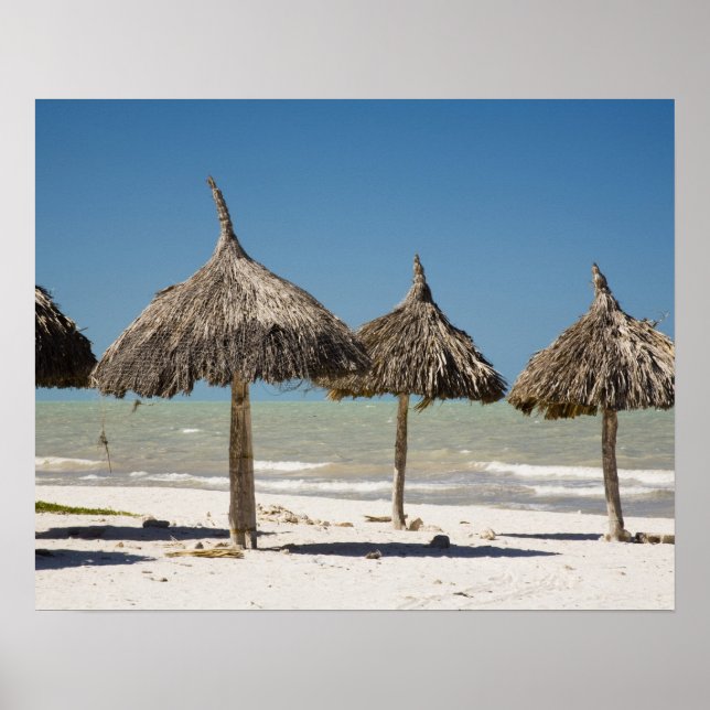 Mexiko, Yucatan Peninsula, Progreso. Thatch Poster (Framsidan)