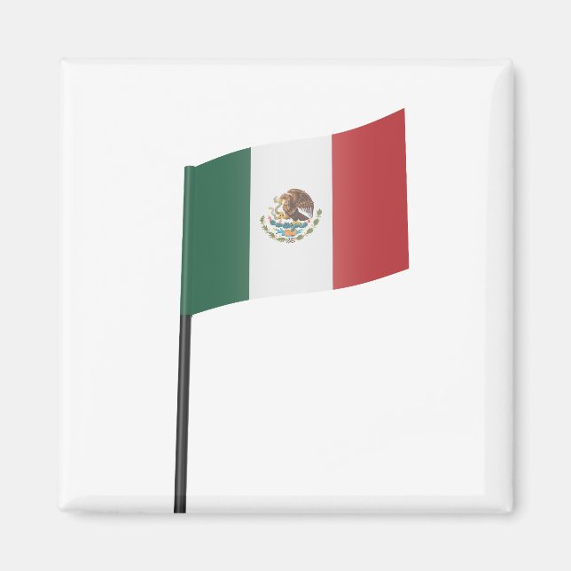 Mexikos flagga magnet (Framsidan)