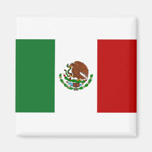 Mexikos flagga magnet