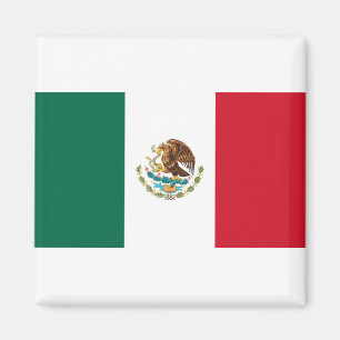 Mexikos flagga magnet