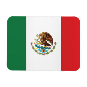 Mexikos Flagga Magnet