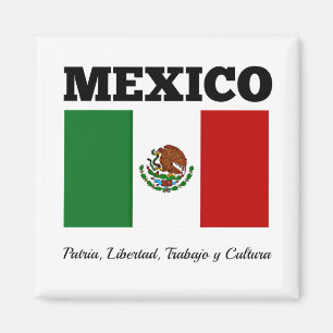Mexikos flagga, märkt magnet