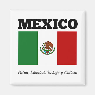 Mexikos flagga, märkt magnet