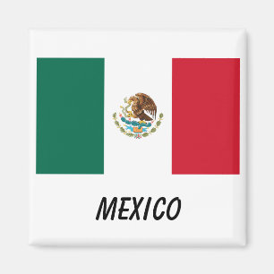 Mexikos Flagga Rektangulärt Magnet