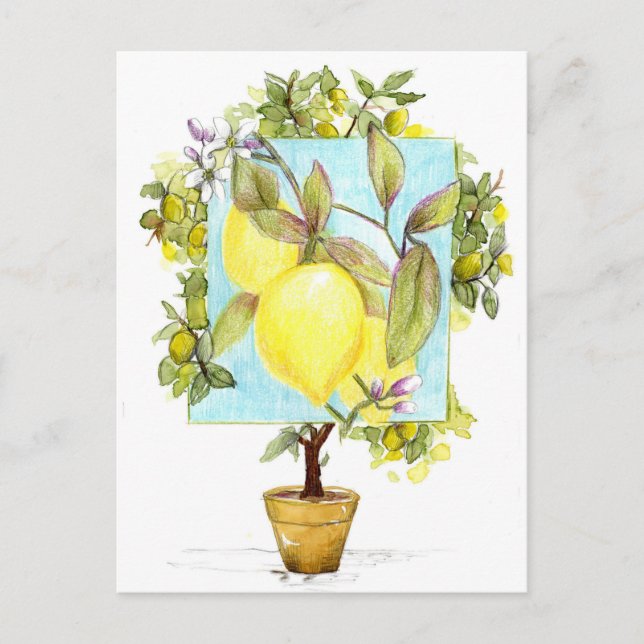 Meyer Citron Träd Citrus Frukt Trädgård Vykort (Framsida)