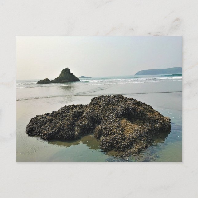 Meyers Beach North, Gold Beach, Oregon Vykort (Framsida)