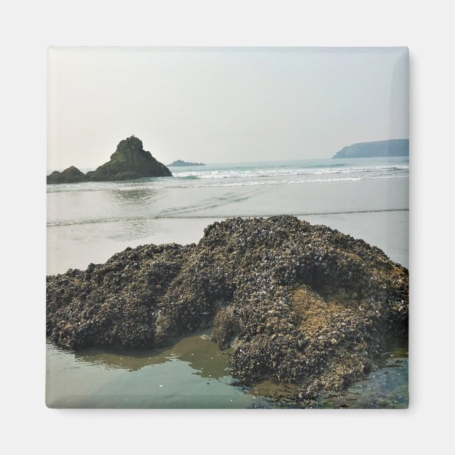 Meyers Beach North, Guld Beach, Oregon Magnet (Framsidan)