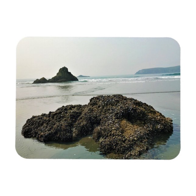 Meyers Beach North, Guld Beach, Oregon Magnet (Horisontell)