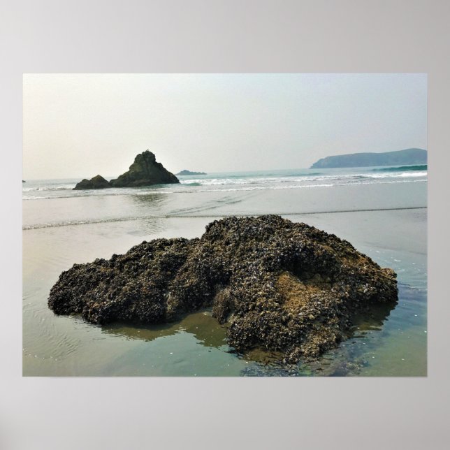 Meyers Beach North, Guld Beach, Oregon Poster (Framsidan)