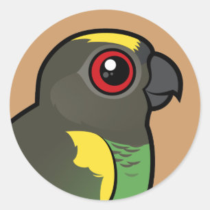 Meyer's Parrot Runt Klistermärke