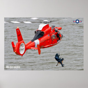 MH-65D-DOLFIN POSTER