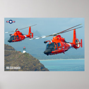 MH-65D-DOLFIN POSTER