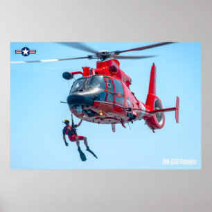 MH-65D-DOLFIN POSTER