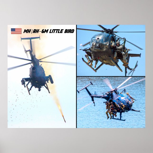 MH/AH-6 M LITEN FÅGEL POSTER (Framsidan)