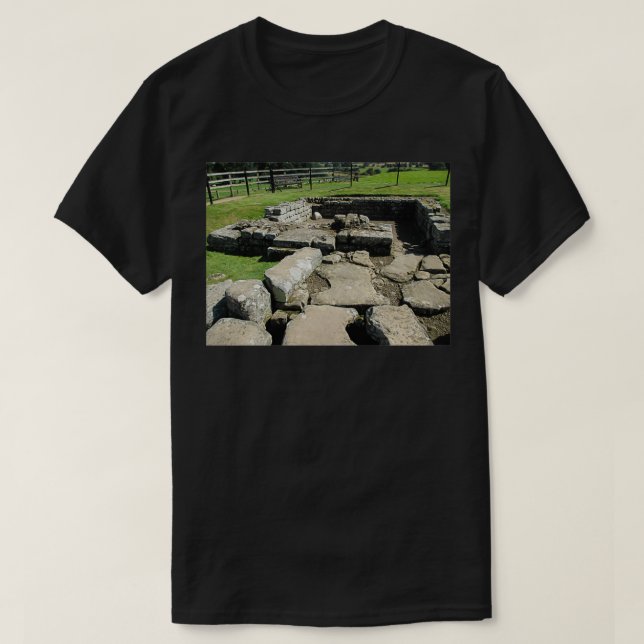 MI 78 Sten och tegelstenar 1 Hadrians Wall T Shirt (Design framsida)