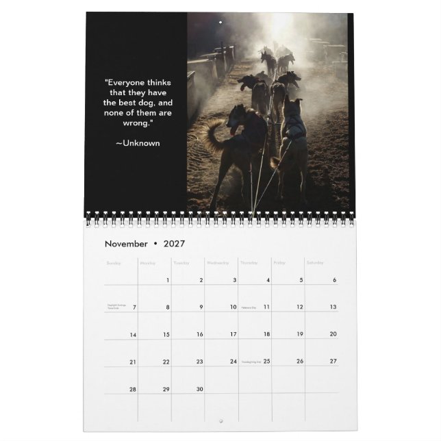 MI HUND Summer Sled Hund Center Calendar Kalender (Nov 2027)