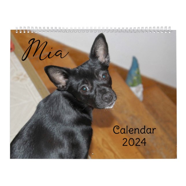 Mia Chihuahua Hund 2024 Kalender (Omslag)