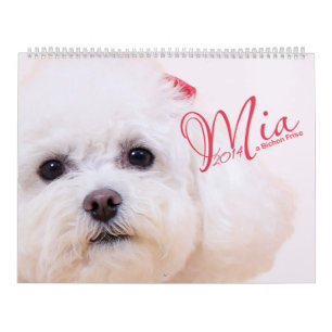 Mia - en Bichon Frise 2014 kalender