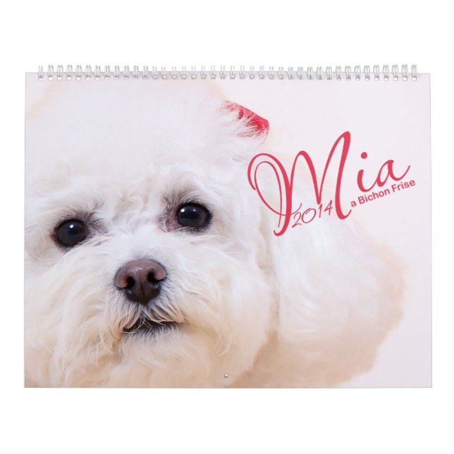 Mia - en Bichon Frise 2014 kalender (Omslag)