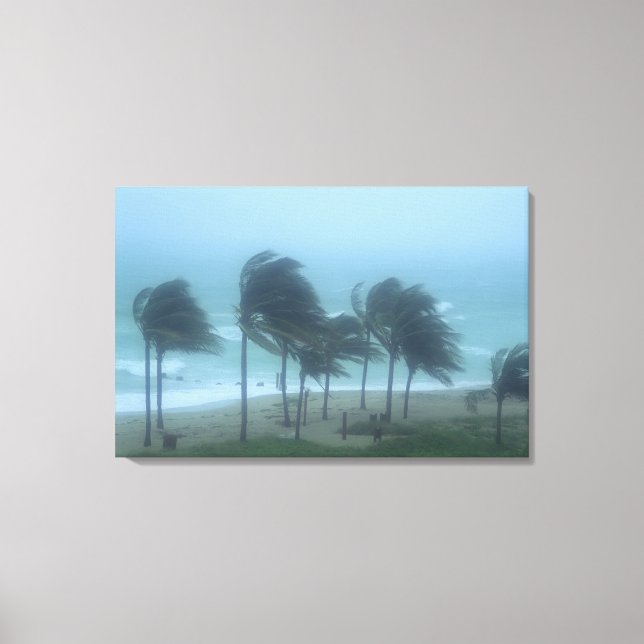 Miami Beach, Florida, orkanvindar piskar Canvastryck (Framsida)