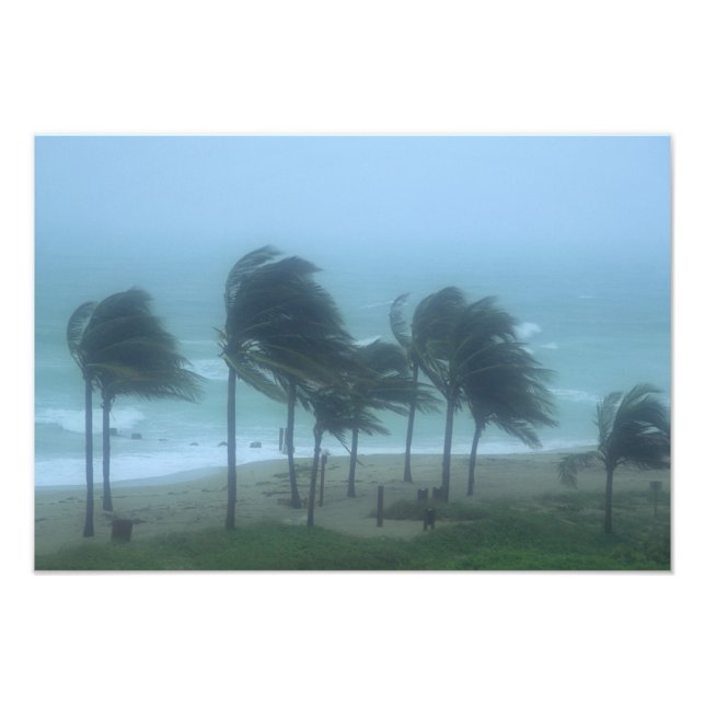 Miami Beach, Florida, orkanvindar piskar Fototryck (Framsidan)