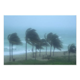Miami Beach, Florida, orkanvindar piskar Fototryck