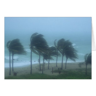 Miami Beach, Florida, orkanvindar piskar Hälsningskort