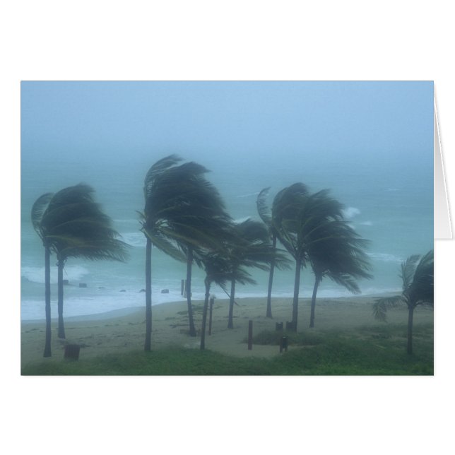 Miami Beach, Florida, orkanvindar piskar Hälsningskort (Framsidan Horizontal)