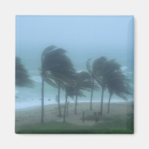 Miami Beach, Florida, orkanvindar piskar Magnet