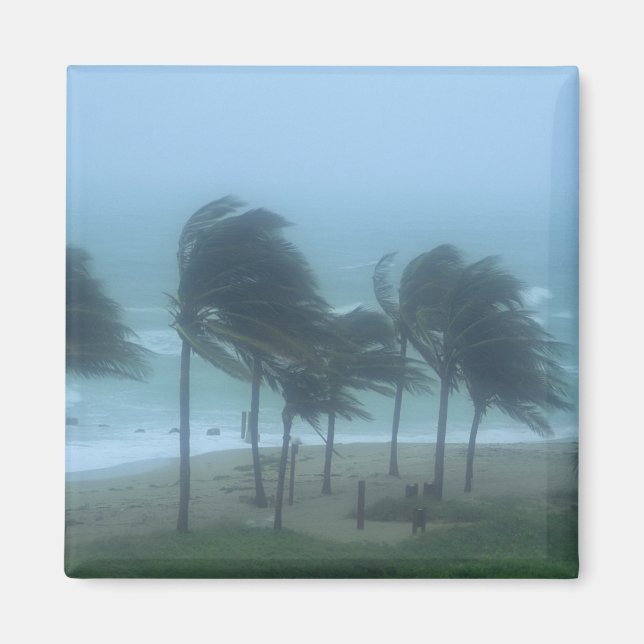 Miami Beach, Florida, orkanvindar piskar Magnet (Framsidan)