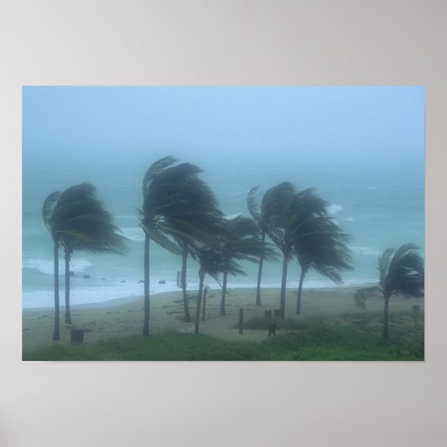 Miami Beach, Florida, orkanvindar piskar Poster (Framsidan)