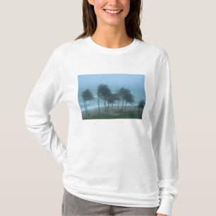 Miami Beach, Florida, orkanvindar piskar Tröja