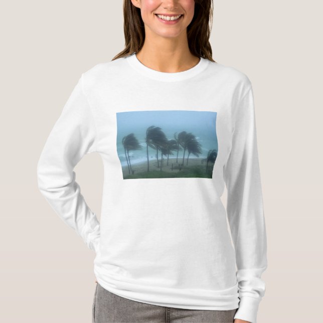 Miami Beach, Florida, orkanvindar piskar Tröja (Framsida)