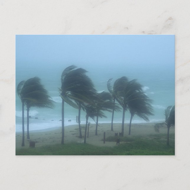 Miami Beach, Florida, orkanvindar piskar Vykort (Framsida)