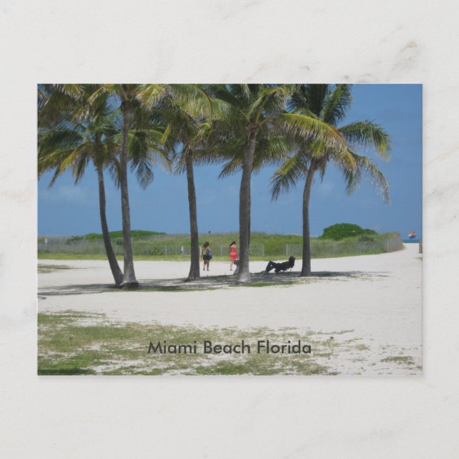 Miami Beach Florida Vykort (Framsida)